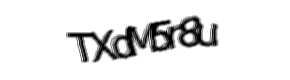 Security check image, please type the characters shown