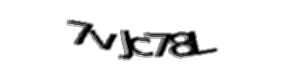 Security check image, please type the characters shown